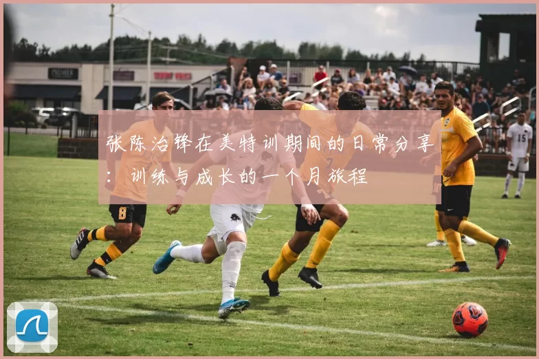 张陈治锋在美特训期间的日常分享：训练与成长的一个月旅程